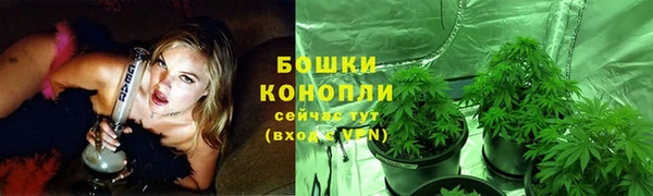 МДПВ Вязьма