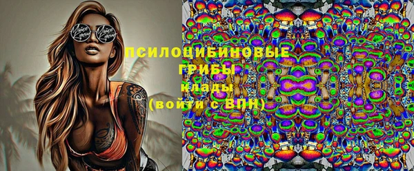 дживик Вяземский