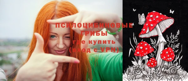 дживик Вяземский