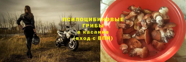 дживик Вяземский
