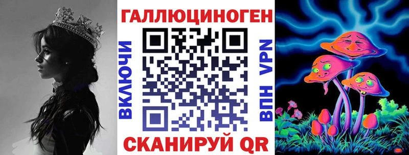 что такое наркотик  Новая Ладога  Галлюциногенные грибы Psilocybine cubensis 